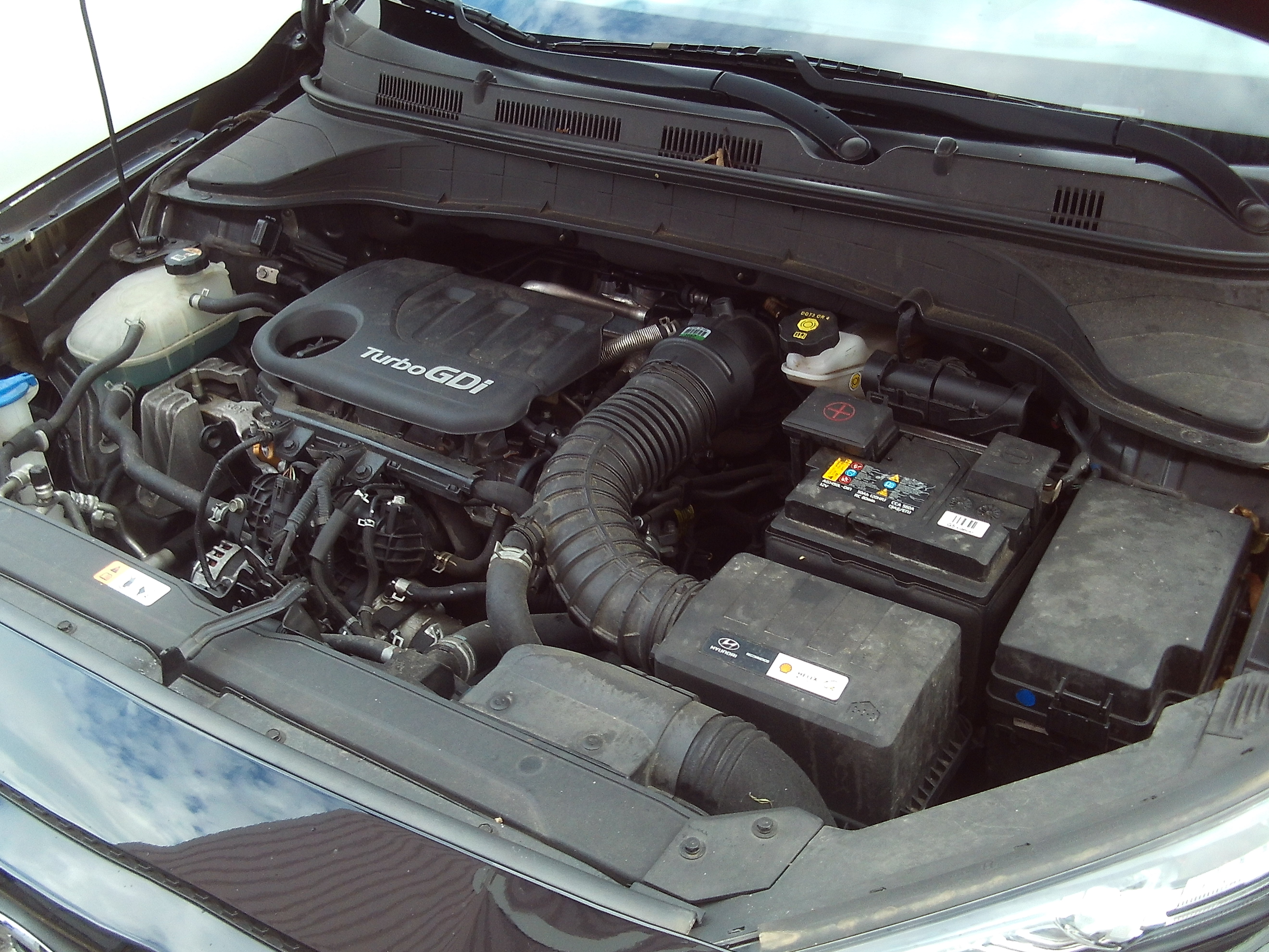 hyundaikonaschwarz_7.JPG