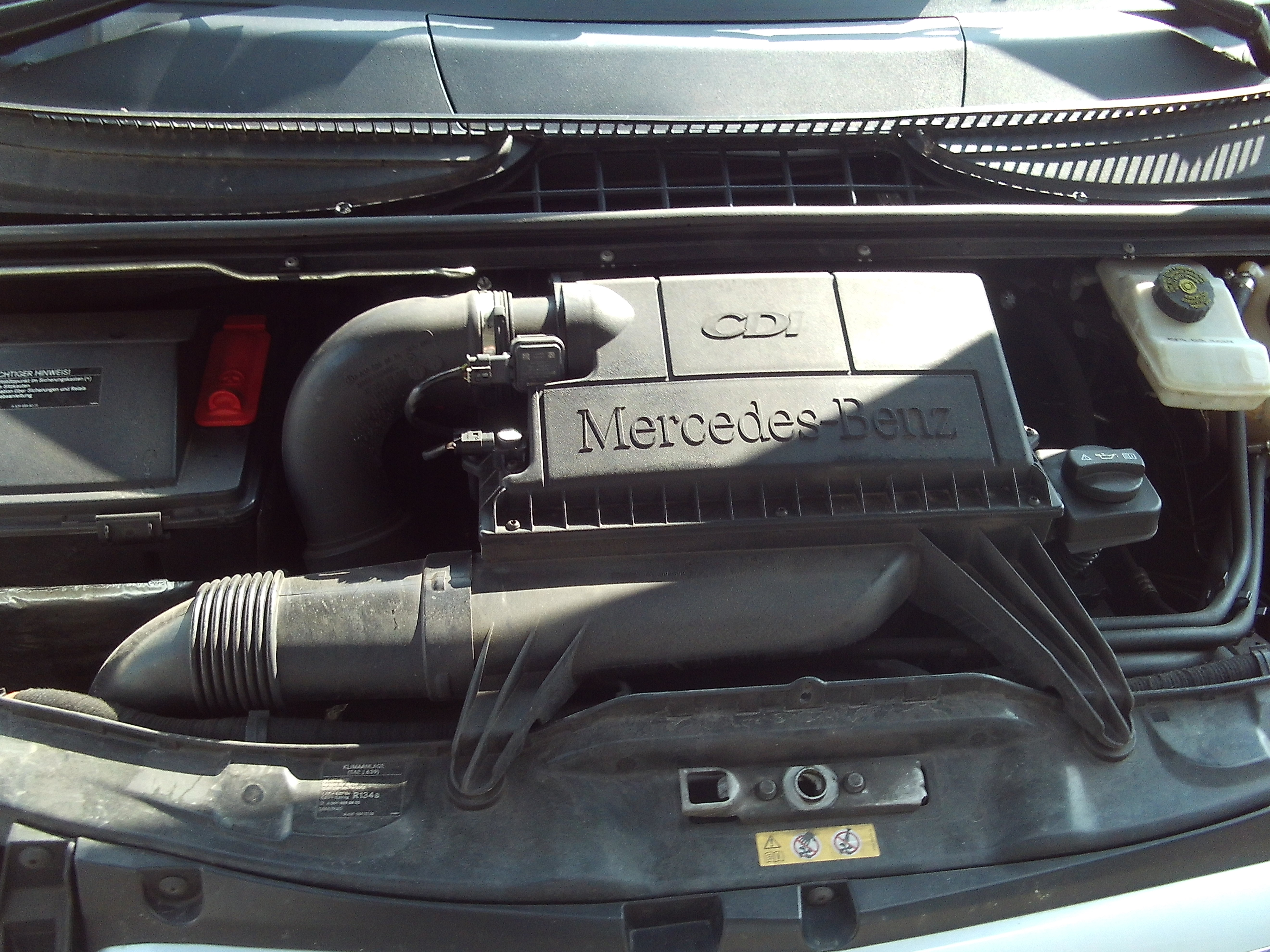 mercedesviano_7.JPG