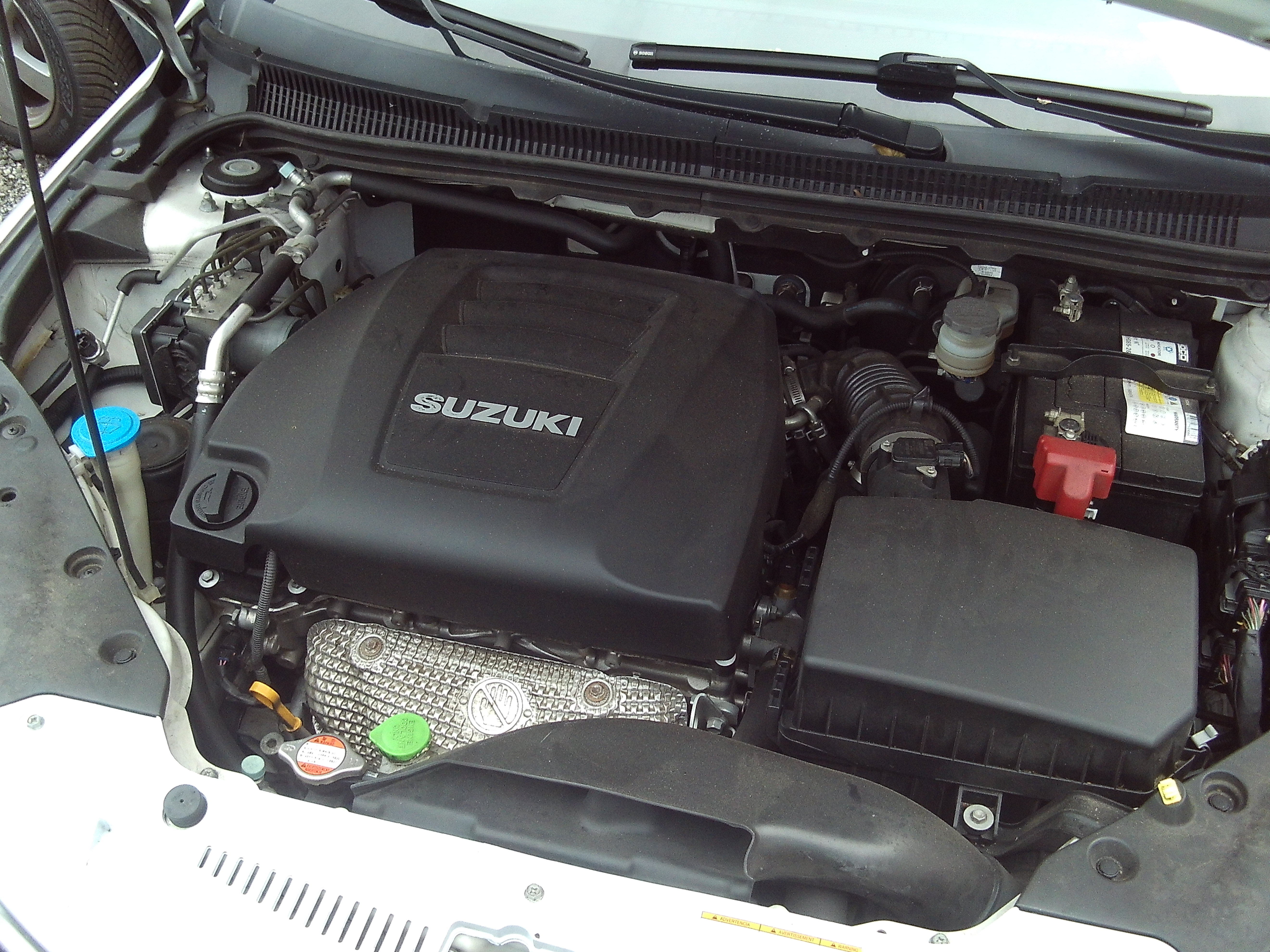 suzukikizahshiweiss_7.JPG