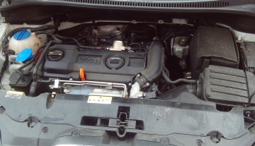 seatalteaweiss_7.JPG